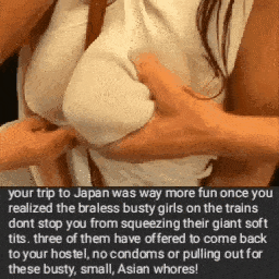 Japanese Train Porn Captions - Trains in Japan doubled your body count in a week. gif @ xGifer