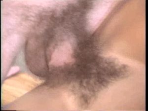 Classic hairy pussy fuck.
